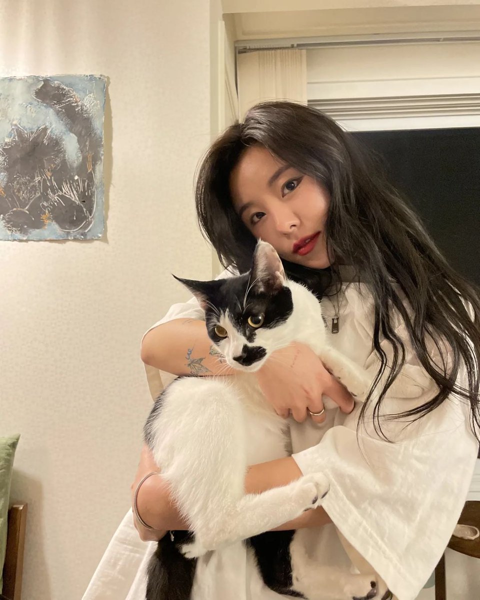 wheinaa's tweet photo. 스트릿 고양이 파이터 (내마음 후두려팸🤧) https://t.co/0E0uePXlol