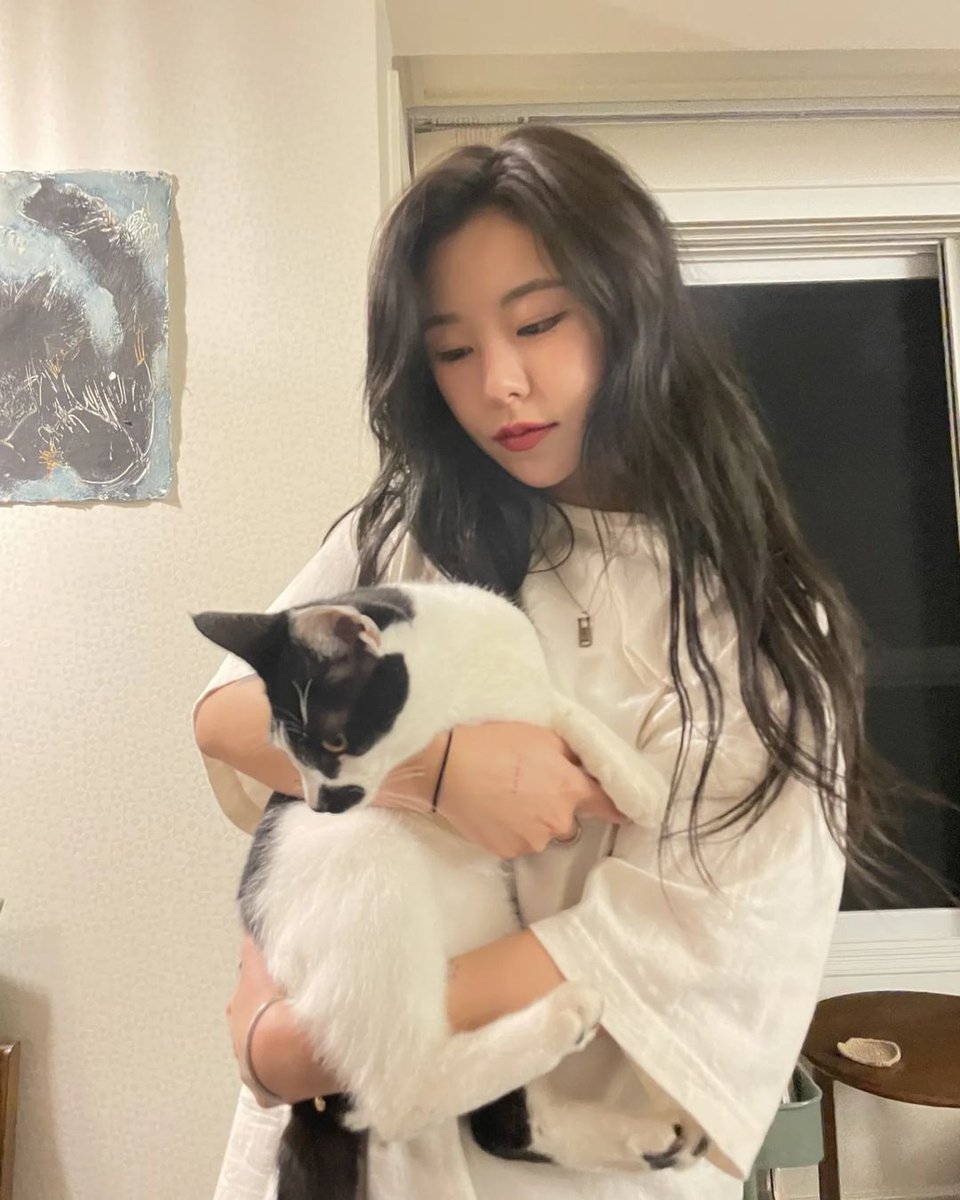 wheinaa's tweet photo. 스트릿 고양이 파이터 (내마음 후두려팸🤧) https://t.co/0E0uePXlol