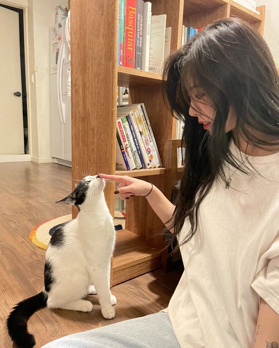 wheinaa's tweet photo. 스트릿 고양이 파이터 (내마음 후두려팸🤧) https://t.co/0E0uePXlol