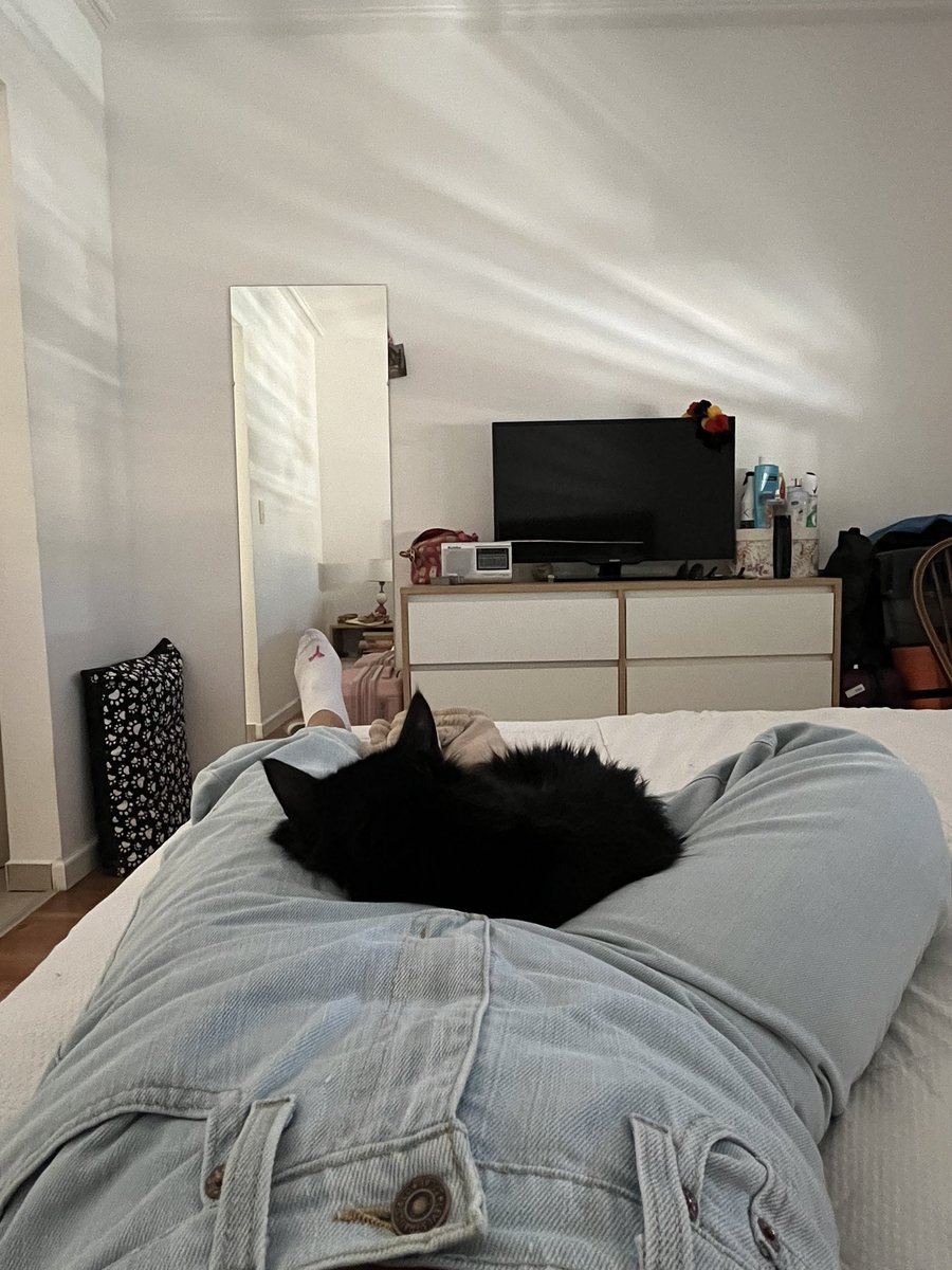 qqiula's tweet photo. Algún homeless que quiera cuidar a Bruno en mi dpto durante el feriado de carnaval? Se ofrece un servicio 5 estrellas con compañía de gatito PREMIUM incluida. Algunos ejemplos debajo 👇🏼 https://t.co/7BNCMWLT5n