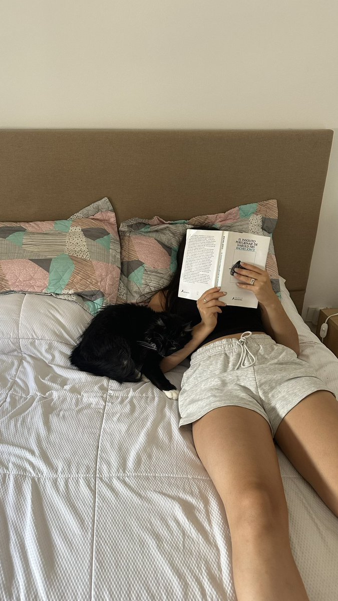 qqiula's tweet photo. Algún homeless que quiera cuidar a Bruno en mi dpto durante el feriado de carnaval? Se ofrece un servicio 5 estrellas con compañía de gatito PREMIUM incluida. Algunos ejemplos debajo 👇🏼 https://t.co/7BNCMWLT5n