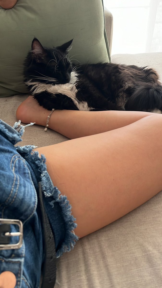 qqiula's tweet photo. Algún homeless que quiera cuidar a Bruno en mi dpto durante el feriado de carnaval? Se ofrece un servicio 5 estrellas con compañía de gatito PREMIUM incluida. Algunos ejemplos debajo 👇🏼 https://t.co/7BNCMWLT5n