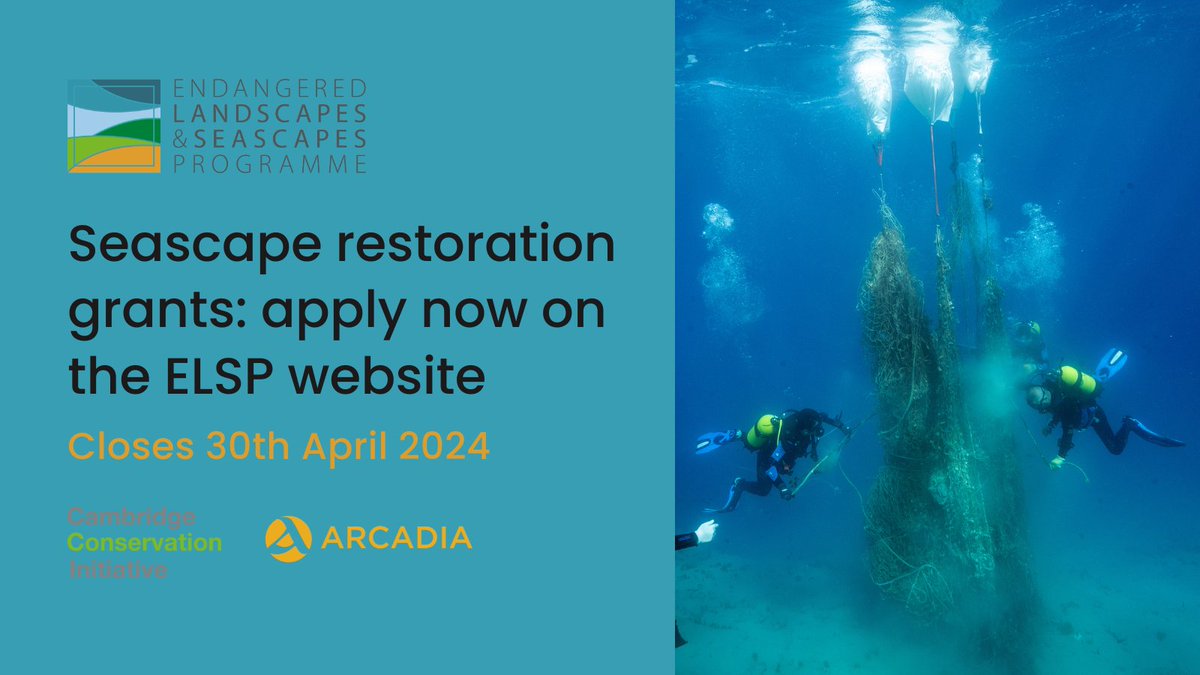 🌊Funding opportunity! Projects in European regional seas can apply for a seascape restoration grant for up to 5 million USD. Express your interest on our website before 30th April ➡️endangeredlandscapes.org/about/funding-…