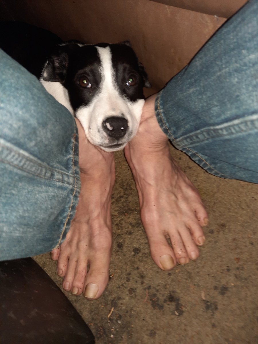 Cruzer Boyd tweet media