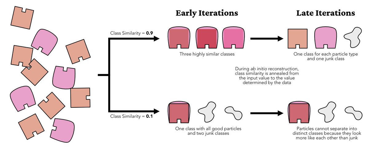 structurabio's tweet photo. Working on getting from 2D to 3D with #cryoEM data? 

Check out our newly updated #CryoSPARC guide page on Ab-Initio Reconstruction, with expanded algorithm descriptions, figures, and details about important parameters!

https://t.co/3S0qO9JSOB https://t.co/b8ChXrTx6S