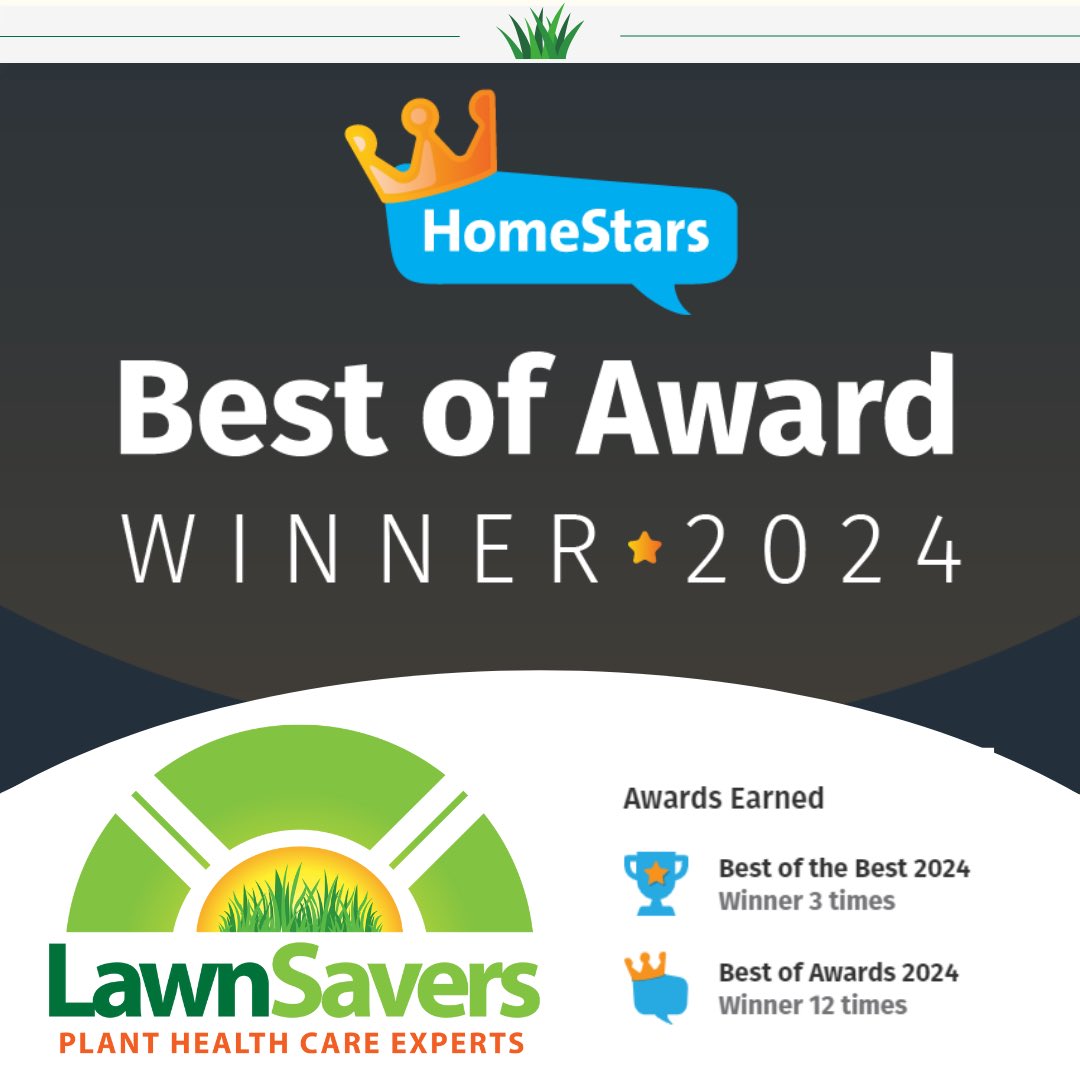 🥁🥁🥁.... LawnSavers has won HomeStars Best of the Best and Best of Award for 2024! Grateful to our whole team and customers who work in partnership with us #winner #best #bestof #homestars #lawn #lawncare #green #gta #toronto