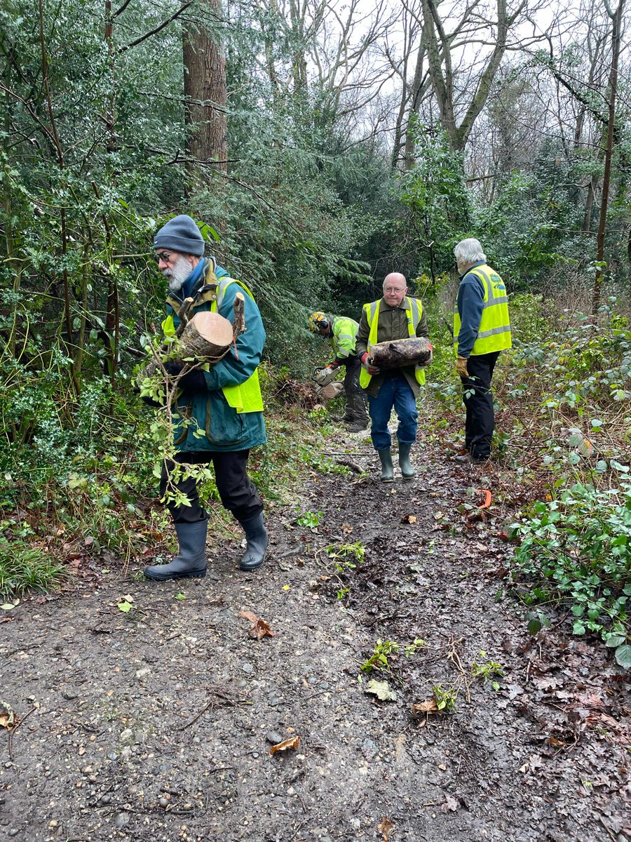 ChisCommons's tweet photo. Today the #volunteers have been working on St. Paul’s Cray Common clearing a fallen tree from one of the footpaths, and starting on the creation of a heathland #wildlifecorridor between the National Trust land of Petts Wood and the common.
#workingparty #Chislehurst #community https://t.co/KT7JsSffZg