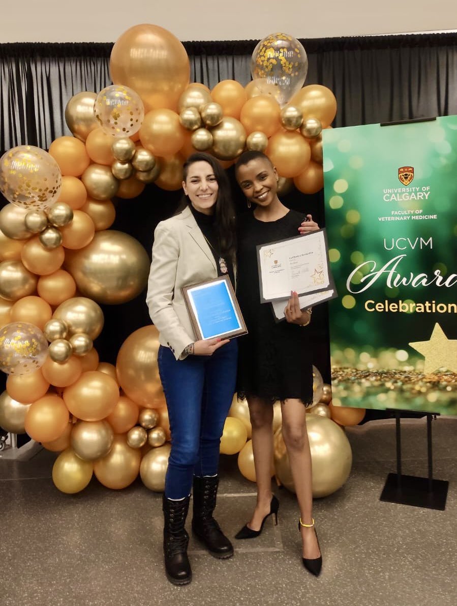 mariaceballosb's tweet photo. I'm happy to share that The University of Calgary, Faculty of Veterinary Medicine, awarded me the “Zoetis Award for Research Excellence” and Eva, one of my PhD students, received two scholarships recognition👏🏼
#AWELBE #proudsupervisor #celebration #AnimalWelfare https://t.co/xU029Grdky
