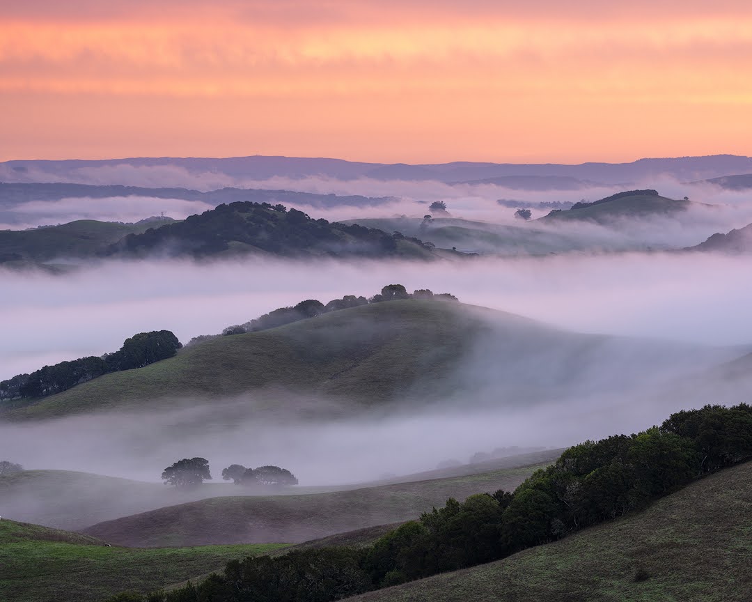 dsafanda's tweet image. A winter morning in the California countryside
#california #nature #landscapephotography