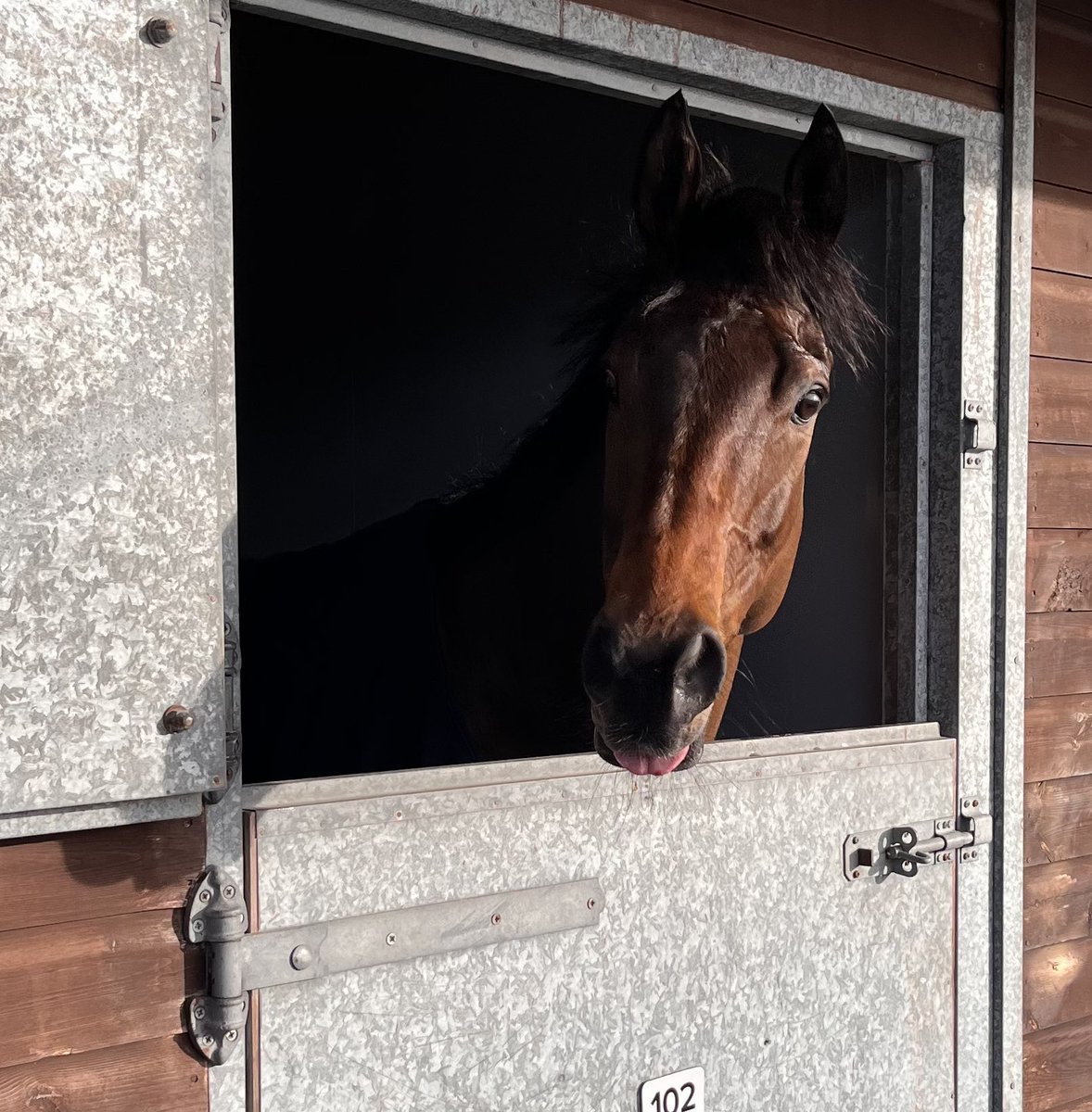 Jamie Snowden tweet media