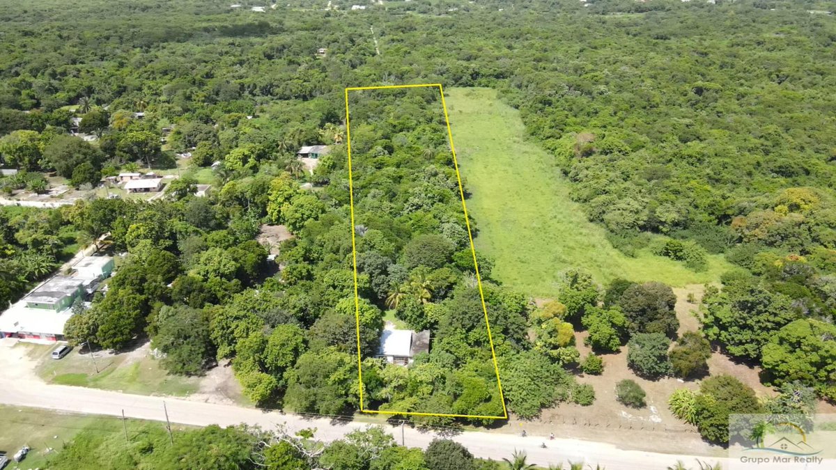 RealtorInBelize's tweet photo. 📣3.5 Acres in Corozal Town just minutes from the Caribbean Sea. 📍

Good road access
Solid fertile ground
Shade &amp; fruit trees
Electricity &amp; water available
Wireless internet available
20 ft. x 30 ft. structure
3 minutes drive from Corozal #grupomarrealty #grupomarrealtybelize https://t.co/DQ069xuPHg