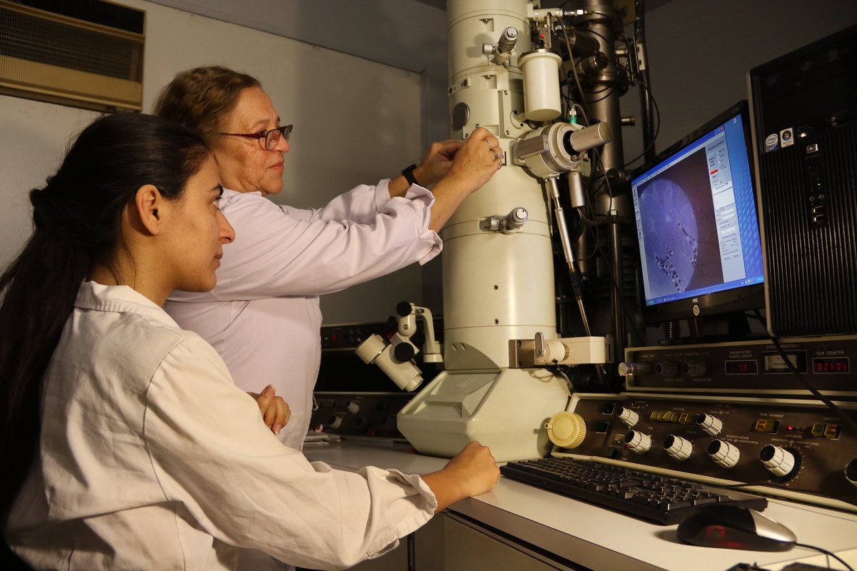 Anabel Sonia Fernández (@anabelsoniafer1) on Twitter photo 