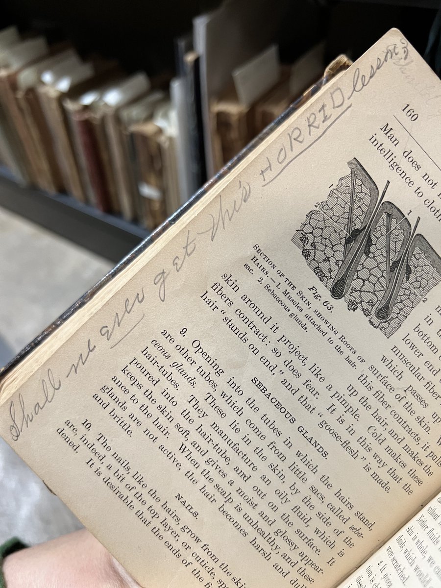 The Library Company tweet media