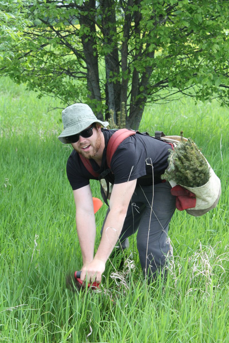 Love nature? Give back by spending your summer planting trees, naturalizing shorelines and improving the Rideau Valley's natural resources! Learn more and apply today: rvca.ca/careers/studen…

#summerjob #studentjob #hiring #RideauValley #ottawa