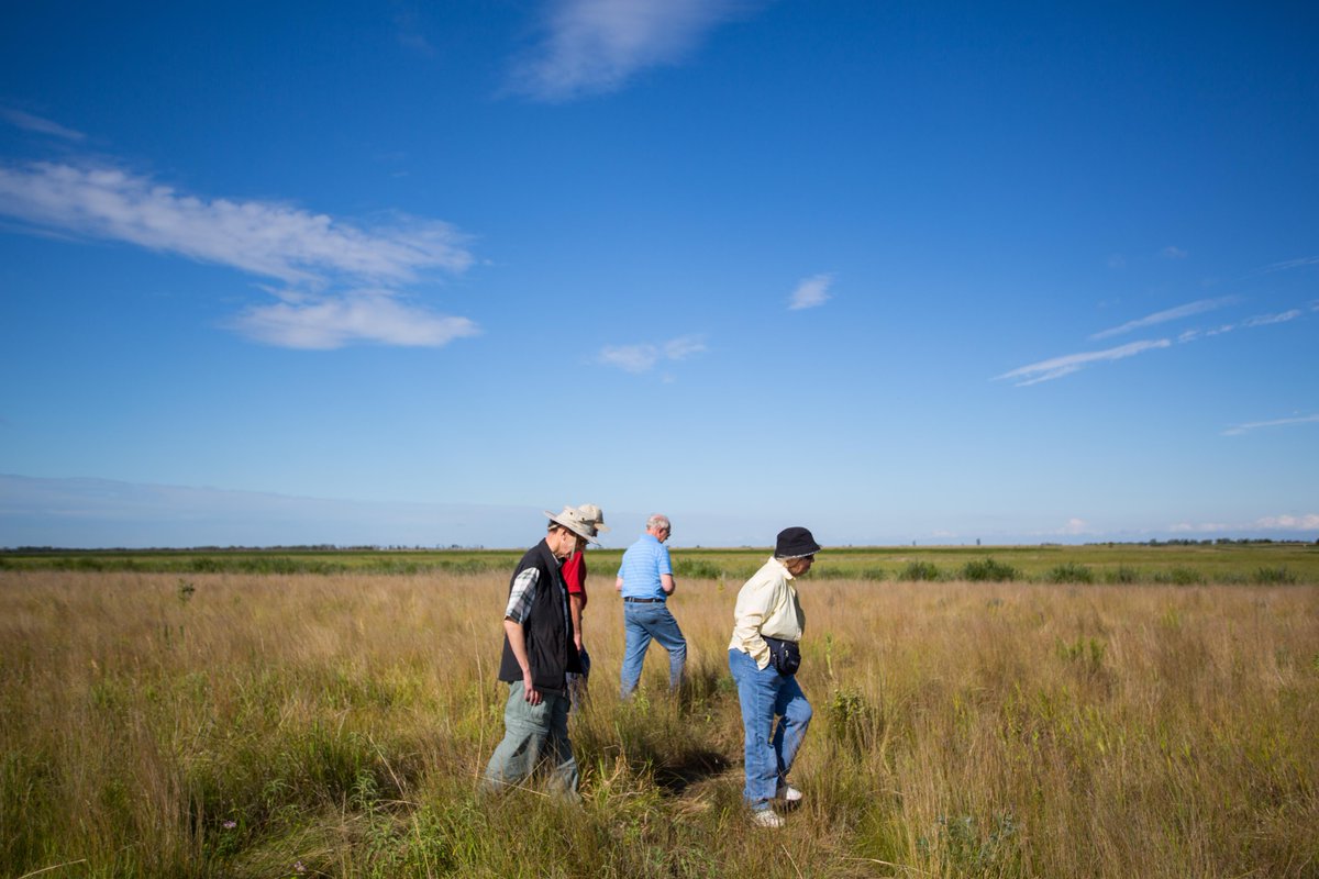 The Nature Conservancy in Minnesota tweet media