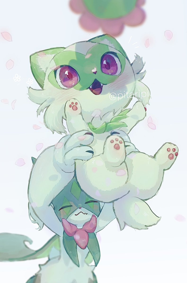 #ニャオハの日
おめでとう！！！🎊大好きーーっっ