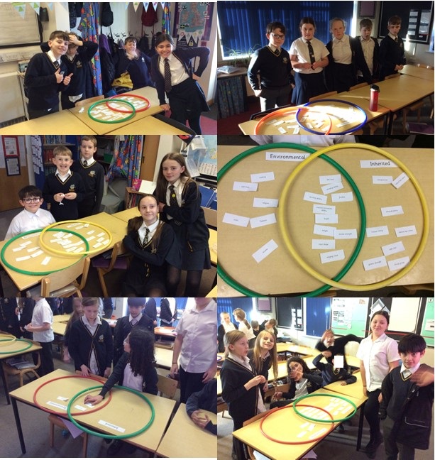 SchoolGotham's tweet photo. Maple sorted characteristics into inherited and environmental. https://t.co/i0mcG1nxI0