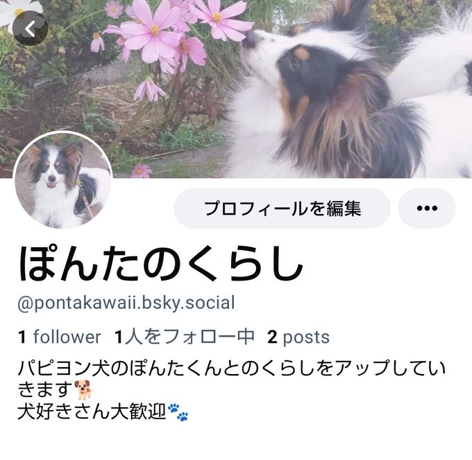 コスプレイヤーゆきちゃん丸のTwitter画像61
