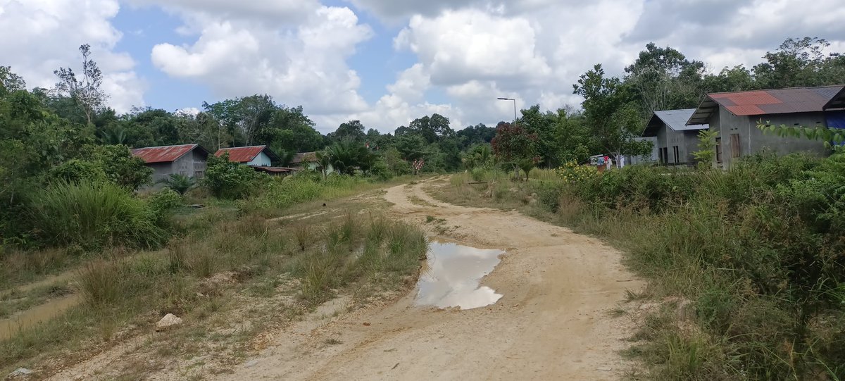 sniper323461's tweet photo. @jokowi Jl. Lintas kab.kapuas/kapuas tengah,kalimantan tengah RUSAK PARAH pak terutama di kec. Pasak talawang &amp; mandau talawang &amp; sampai detik inipun tidak ada perhatian untuk diperbaiki. Mohon untuk ditindak lanjuti Yth .bapak Presiden Joko widodo.🙏terima kasih https://t.co/hFSETICnbW