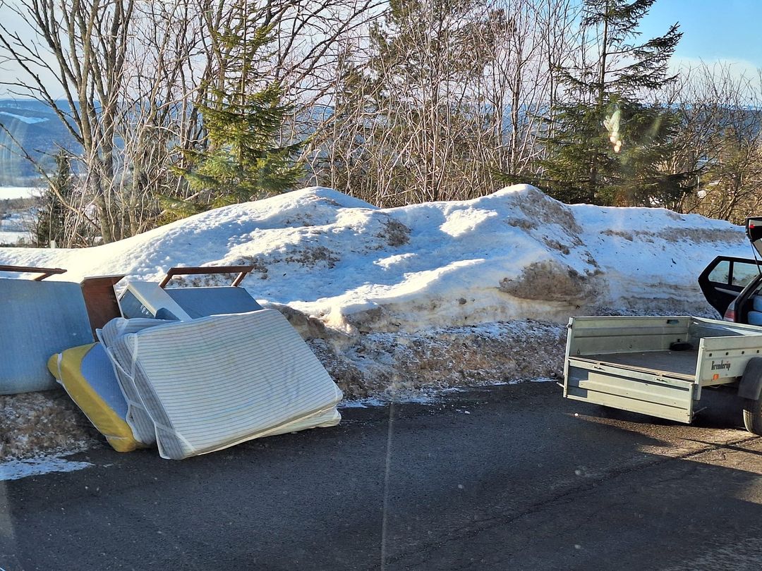Oslove❤️ er vel ikke avfall gatelangs...🤔 Vi kan hente! Da bidrar du også til et mer inkluderende arbeidsliv...og det er LOVE det! #holdbyenren  medarbeiderne.no/flytting-og-av…