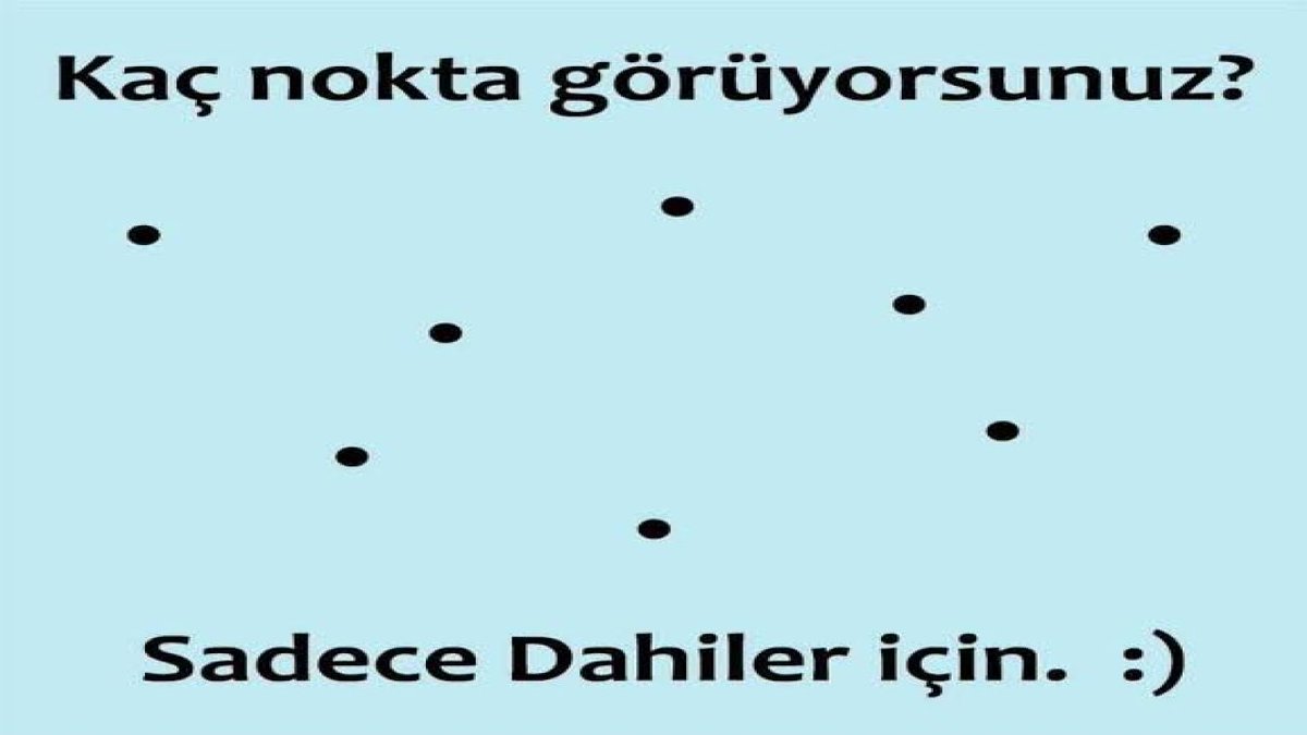 Resimde kaç tane nokta görüyorsunuz ?