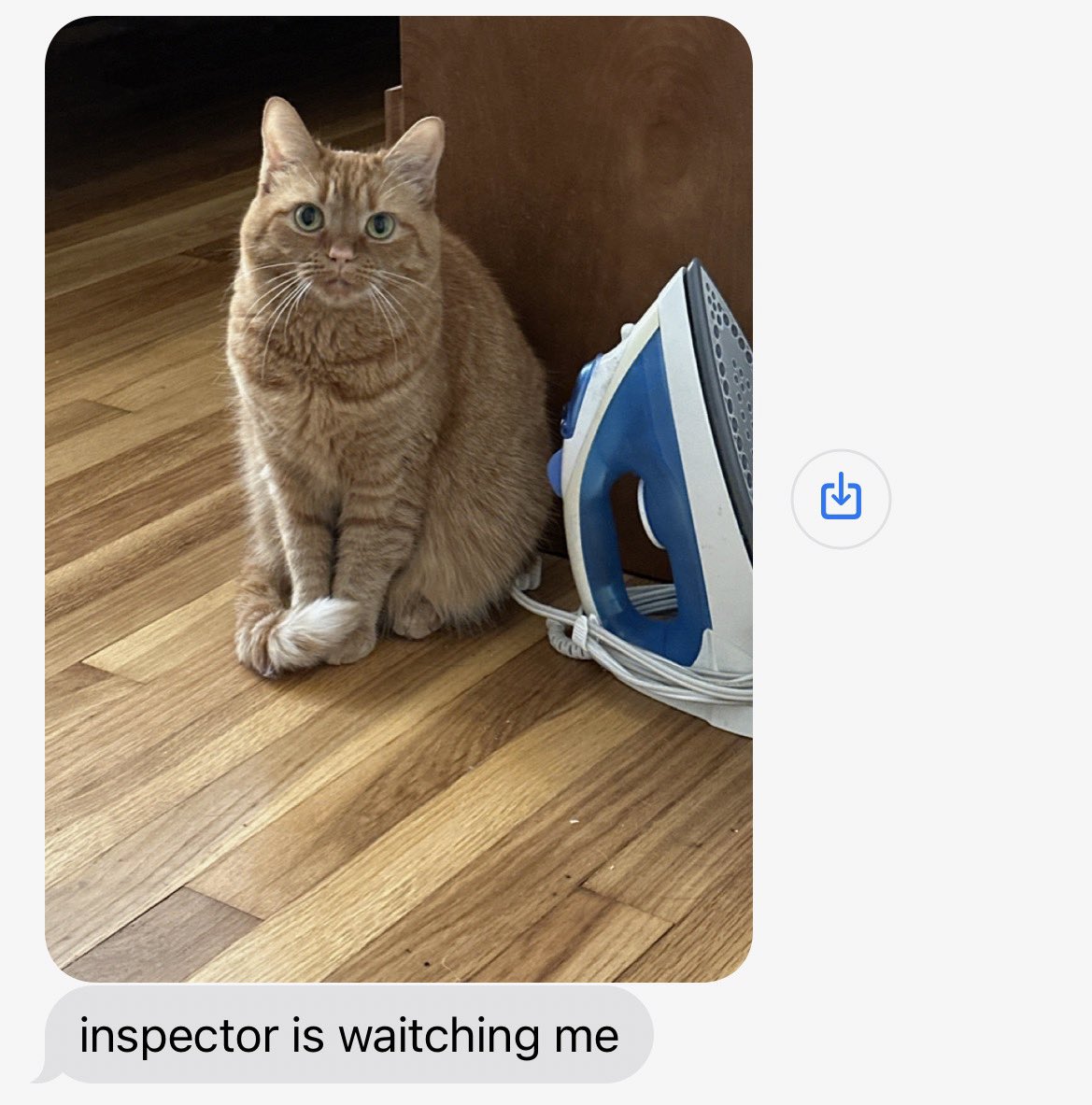 Our Polish repair guy sent this to my boyfriend and I just love it