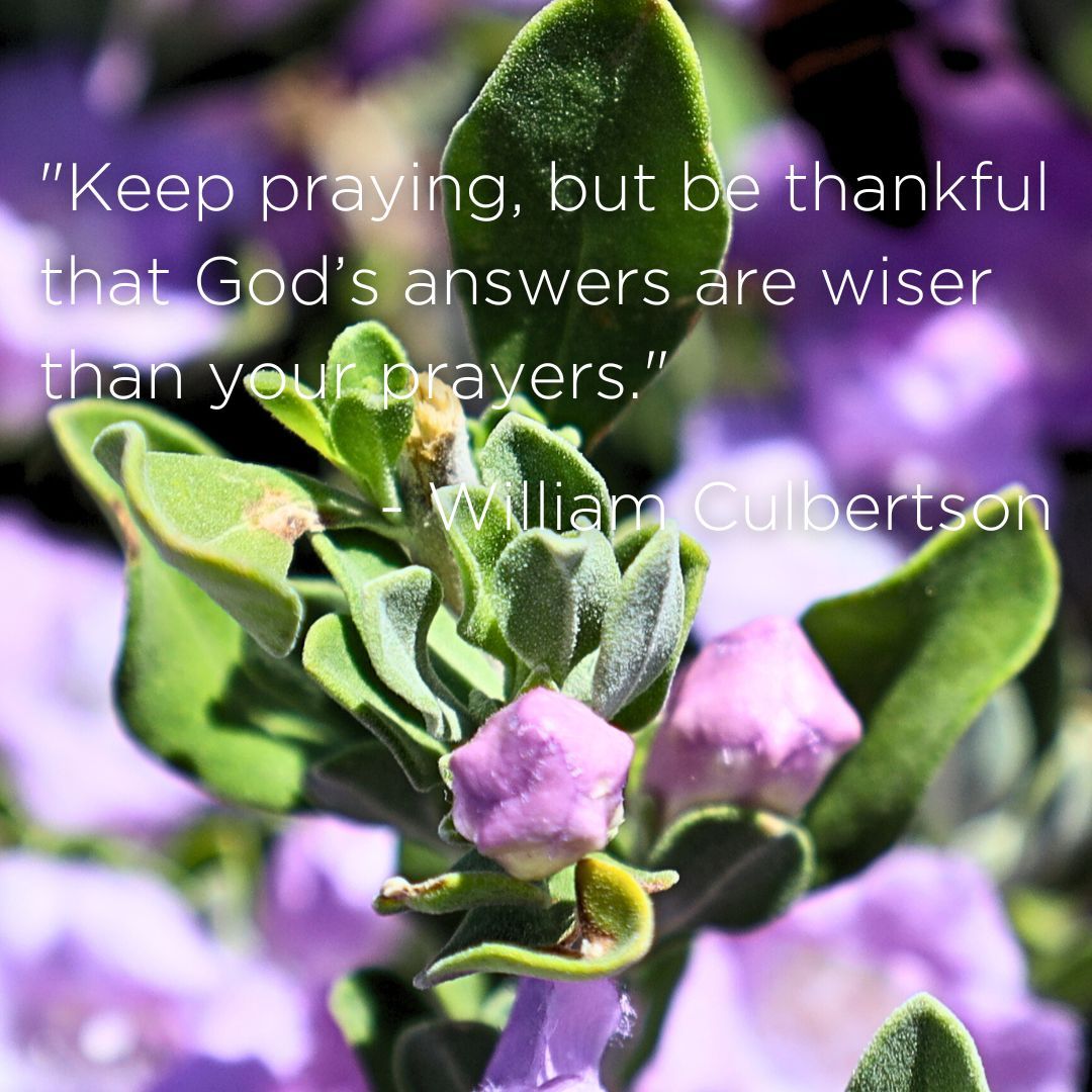 cfc_tucson's tweet photo. "Keep praying, but be thankful that God’s answers are wiser than your prayers." - William Culbertson
#Jesus #wisdomofGod #Prayer https://t.co/6aoJ9R1Pdn