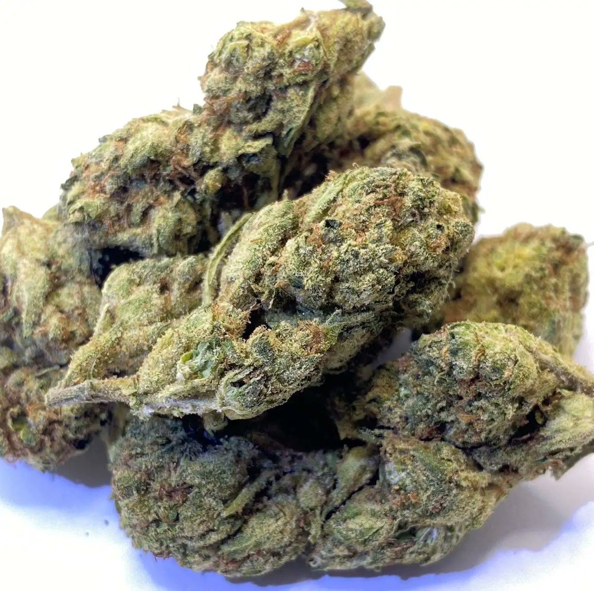 WeedRepublic_'s tweet photo. Ultimate Ice Cream Runtz Marijuana Strain🌿💪🟢

#marijuana #cannabis #stonerFam #cannabisgrower 

https://t.co/SwJ5YuG6bQ https://t.co/37em6Wp1XZ