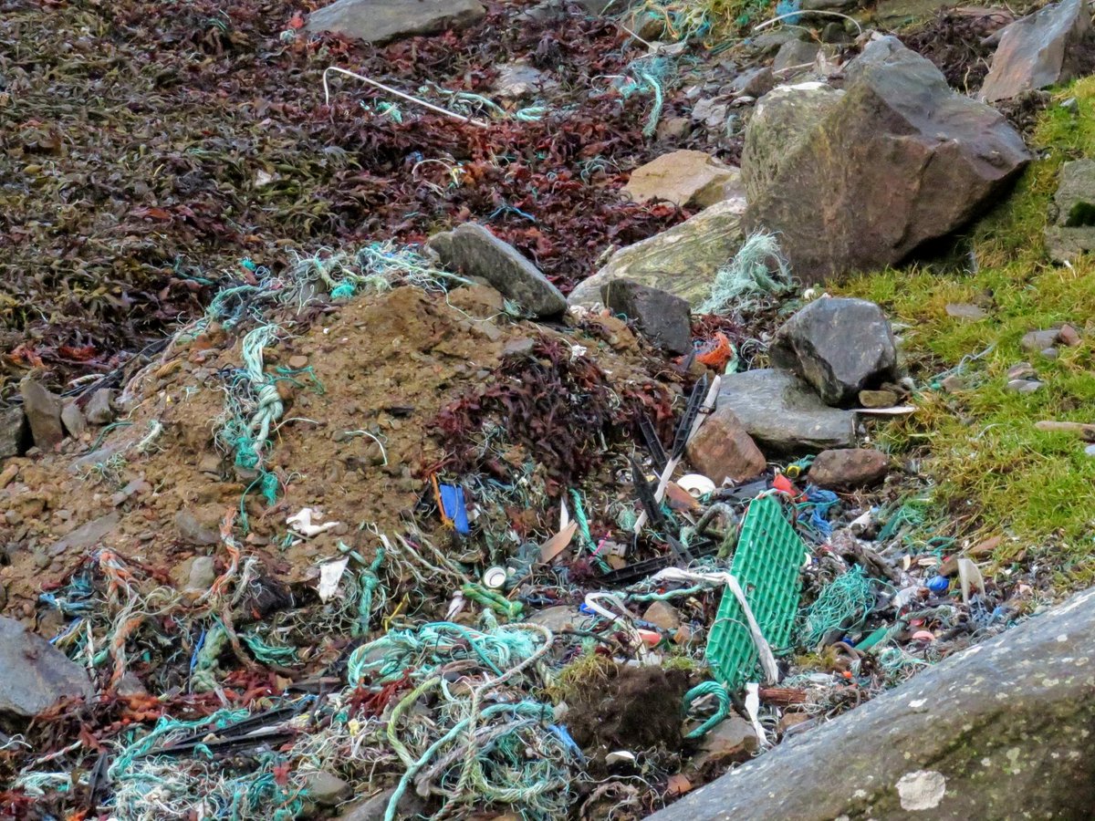 Scotland's islands face a daily battle against the tides of pollution washing up on their shores. We're excited to be working with @ScotIslandsFed on a new #CitizenScience project to tackle this. We'll be working with local communities to clean beaches and collect important data