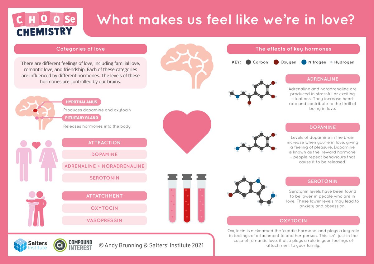 Happy Valentine's Day! Love is in the air today...or is it just dopamine? Take a look at this Chemistry Club infographic that breaks down the chemicals that are produced when you're in love. #ValentinesDay