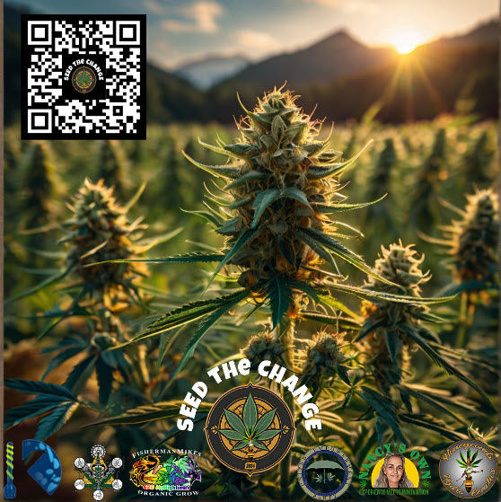 HoneycombEmpire's tweet image. Rise and radiate, architects of progress! 🌐 Construct a day where the seeds of change you plant contribute to a better world. #BuildProgress #CultivateChange #SeedTheChange24