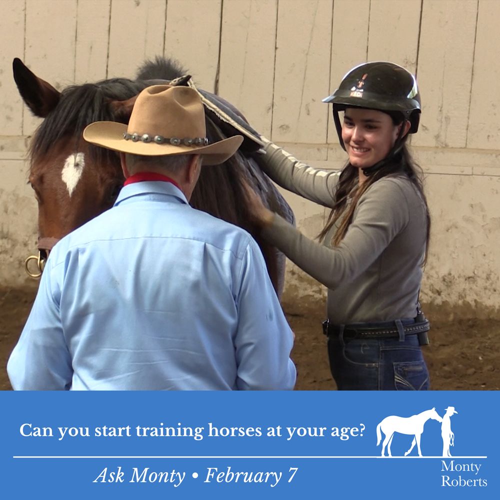 Question: Can you start training horses at your age? Read Monty's answer in the Ask Monty Q&A: montyrobertsuniversity.com/q_and_a Have your own question for Monty? 👉 Send it to askmonty@montyroberts.com #MontyRoberts #AskMonty #StartingNotBreaking