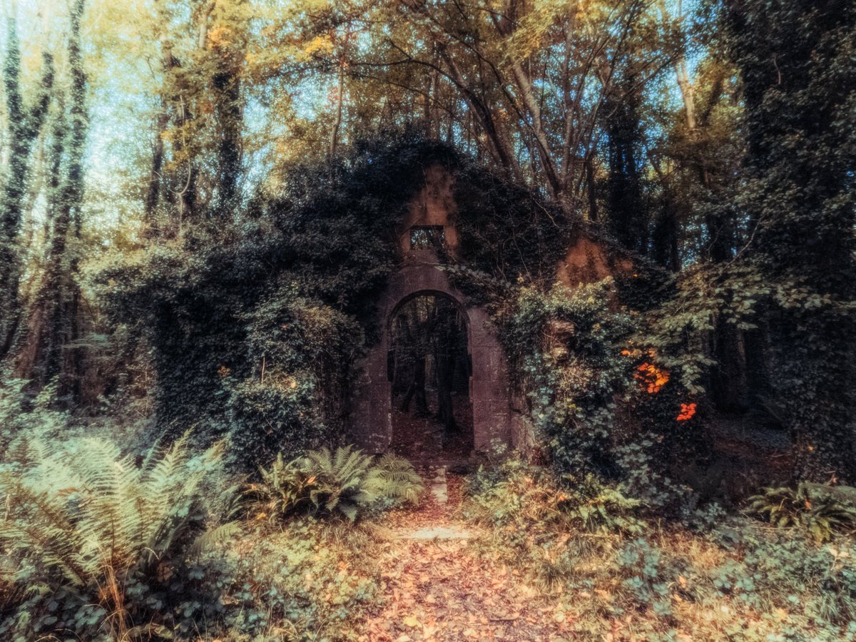 artofseanmurphy's tweet photo. An Autumn Nirvana https://t.co/8wlYbvxKzy