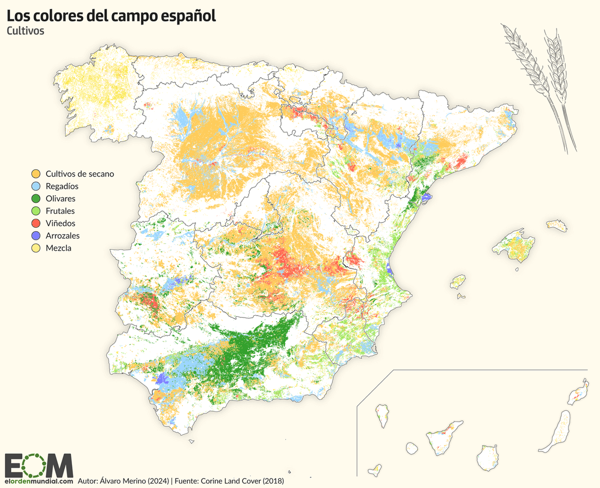 elOrdenMundial's tweet photo. La agricultura en España es un sector clave 🇪🇸

👉Casi la mitad del país está cultivado.

👉La variedad de las plantaciones varía en función de la región.

👉El 65% de la cosecha total viene del regadío, un método que compromete la sostenibilidad de la agricultura española.

Este mapa de @Alvaro_Merino_ refleja la variedad de cultivos en España 👇
https://t.co/4Ipxu4SLUK