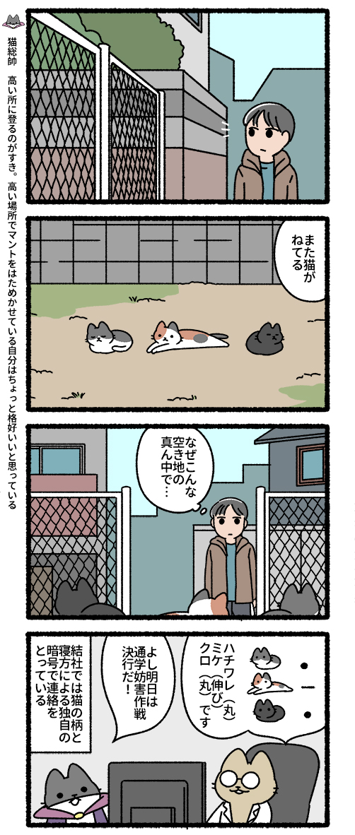 悪の秘密結社ネコ 猫の集団編 #悪の秘密結社ネコ