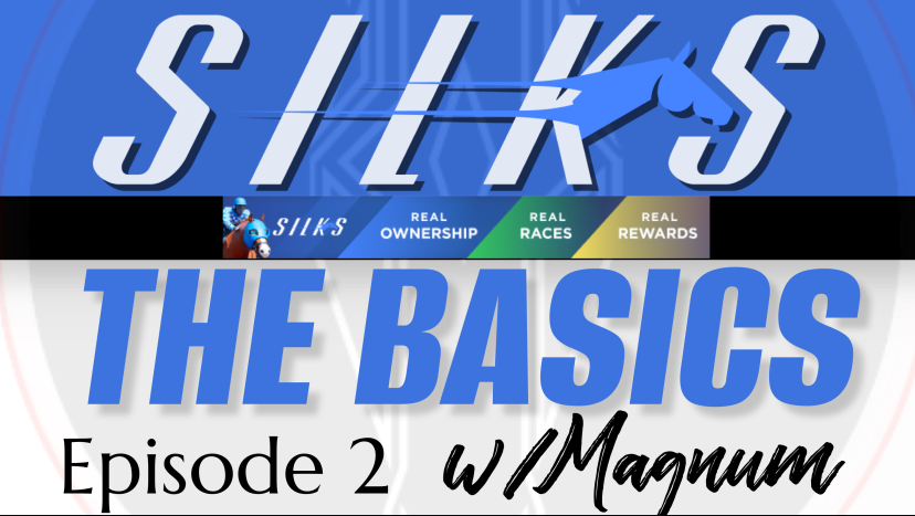 🚨COMING SOON🚨

Honored to talk about @gameofsilks on @TrustTProphets with @ElHombre_TTP & @RidersUpTim 

If you are into Fantasy Sports, Racehorse Betting or Web3 Gaming, this is not to be missed...

#fantasy #sports #racehorse #betting #Web3 #Gaming #gameofsilks