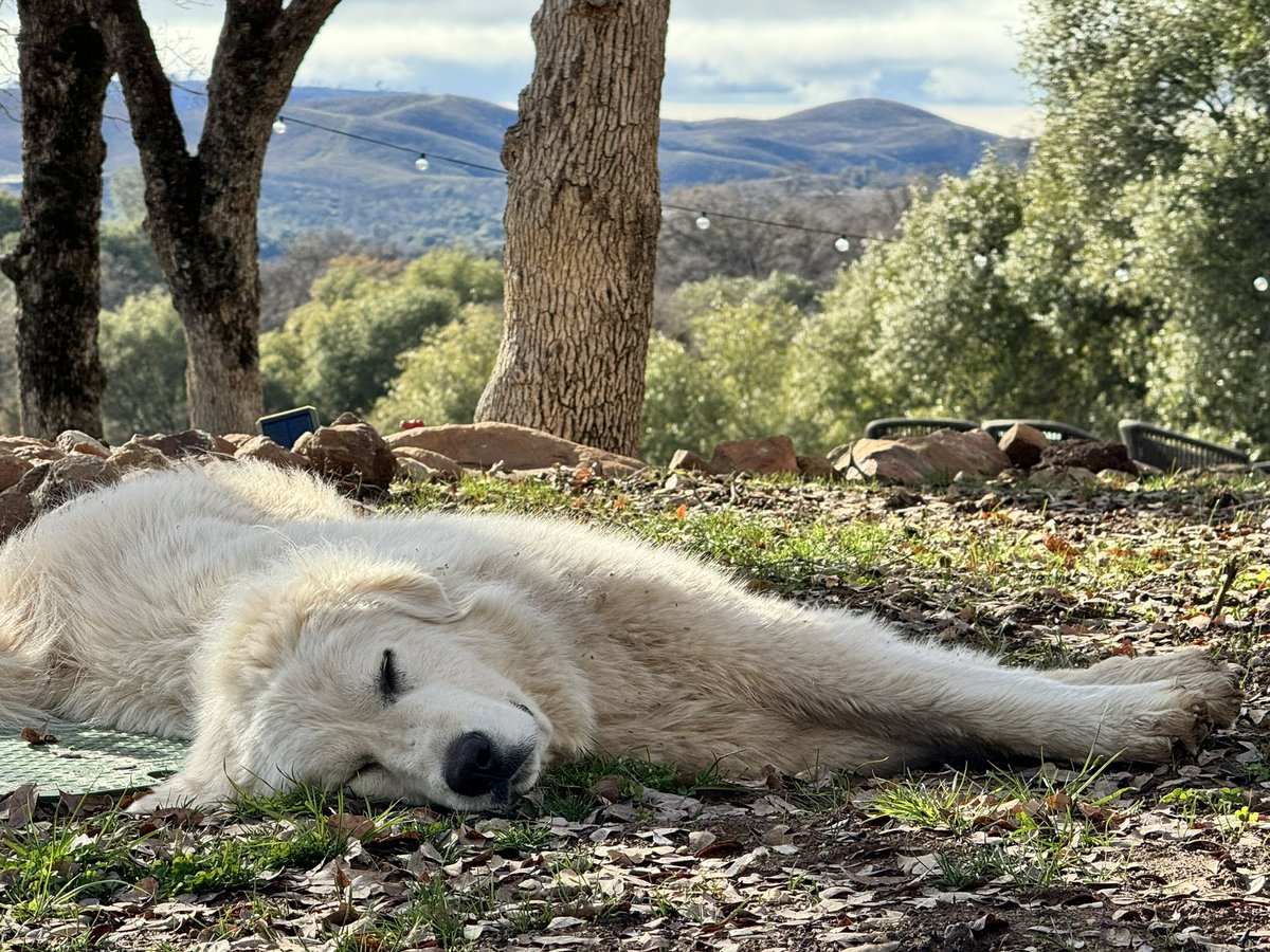 Just gonna rest here for now, everything else will have to wait