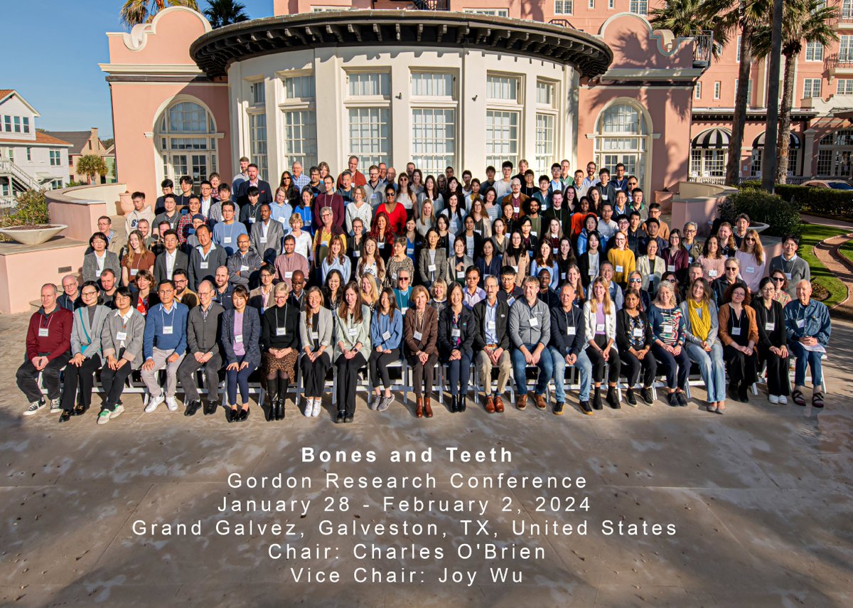 Blinded by science! Or maybe just the bright Galveston sunlight ☀️ So grateful to all the presenters and attendees at the 2024 Bones and Teeth @GordonConf for creating an inclusive and nurturing community to share cutting edge 🦴 and 🦷 science! #BonesAndTeethGRC