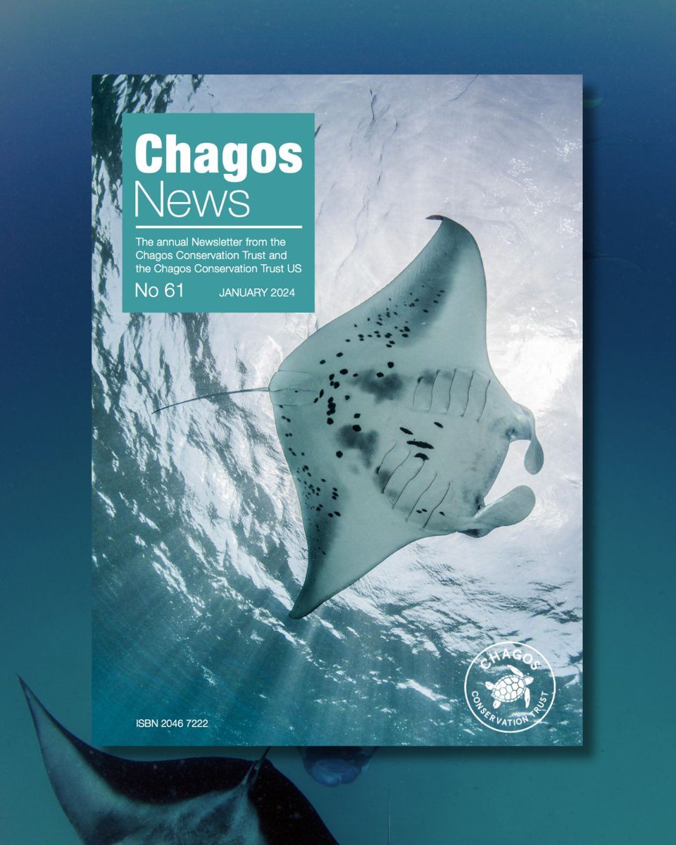 🏝️ Chagos Manta Ray Project Chagos News 👉 bit.ly/49q2i2v Chagos Manta Ray Project - The Manta Trust 👉 bit.ly/42DmJXB @ChagosTrust @Bertarelli_fdn @WestonFdn @Marine_Science @Plymuni