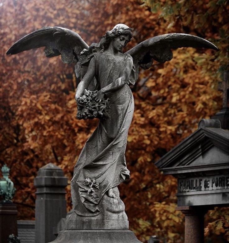 ayustairs's tweet image. ❥ seu book boyfriend de tsc de acordo com o mês do seu nascimento:

— 𝖆 𝖙𝖍𝖗𝖊𝖆𝖉