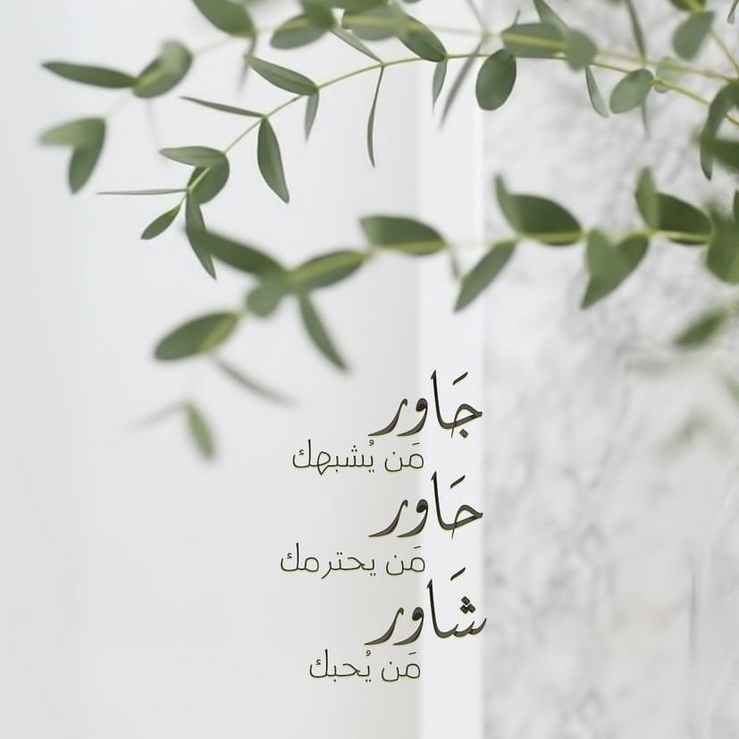 aalmm121's tweet photo. #مساء__الخير https://t.co/KHiZlJ0qph