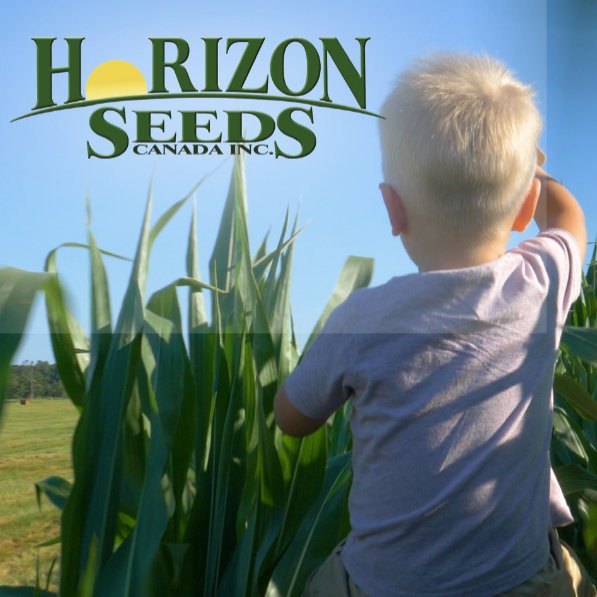 Horizon Seeds Canada Inc focuses on product performance & customer support. They continue to grow and remain a trusted supplier of the Canadian farmer. Canadian owned, Canadian grown. See them in #TheBook2024, @HORIZON_SEEDS #AgTwitter, #TheBook wherefarmerslook.com/companies/hori…