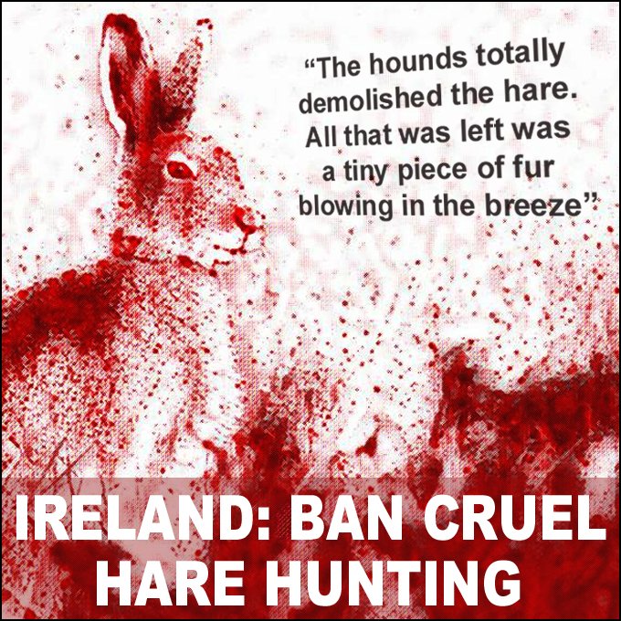 Ban Blood Sports tweet media