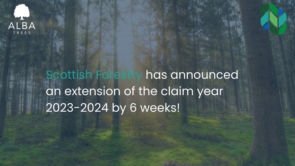 Alba Trees Nursery tweet media