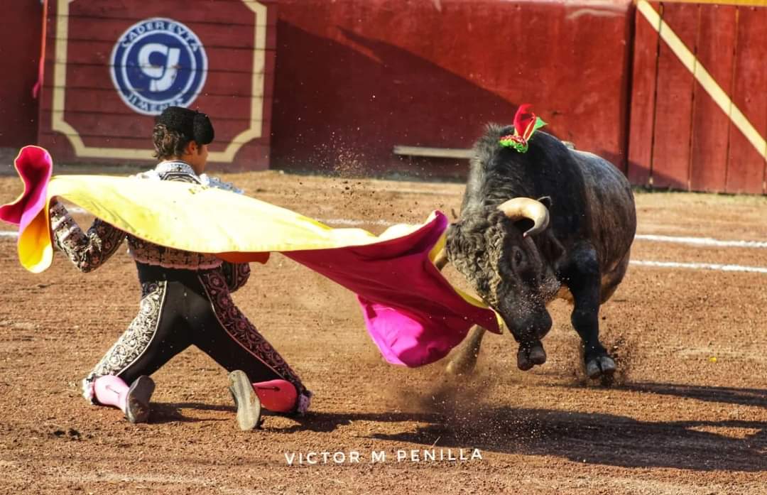 vmpenilla's tweet photo. Hoy está cumpliendo años, el #Novillero; Eduardo #Neyra.
Nació en Durango, Durango, #UnDíaComoHoy pero del 2000.
#Enhorabuena
Si lo ve, Felicitelo!!! https://t.co/KhhNv6Yihk