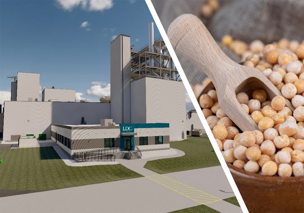 Louis Dreyfus plans pea protein plant in Sask. ow.ly/twZl50QyOT5 #westcdnag #SKag #cdnag