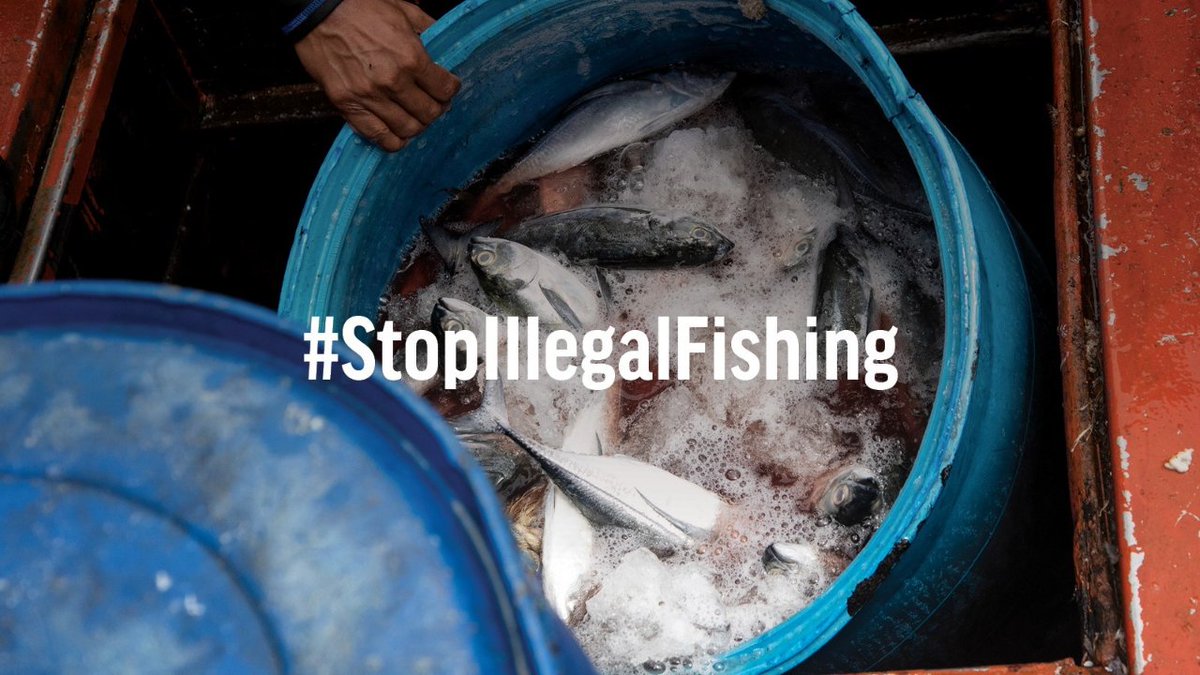 Was your seafood dinner caught with forced labour? 55% of US seafood imports aren't covered by the Seafood Import Monitoring Program, allowing illegally caught food to end up on your plate. We joined 20 NGOs calling for @POTUS to #StopIllegalFishing⬇️ usa.oceana.org/wp-content/upl…