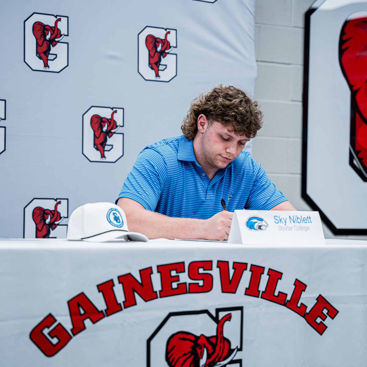 Gainesville FB Recruiting tweet media