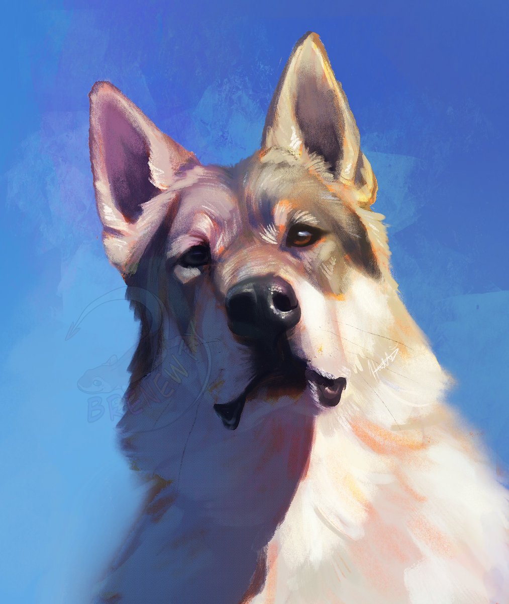 quick digital painting i did of my dog ! he’s a czechoslovakian wolfdog :D im really happy with how it turned out  and it was a nice break from furry art !!