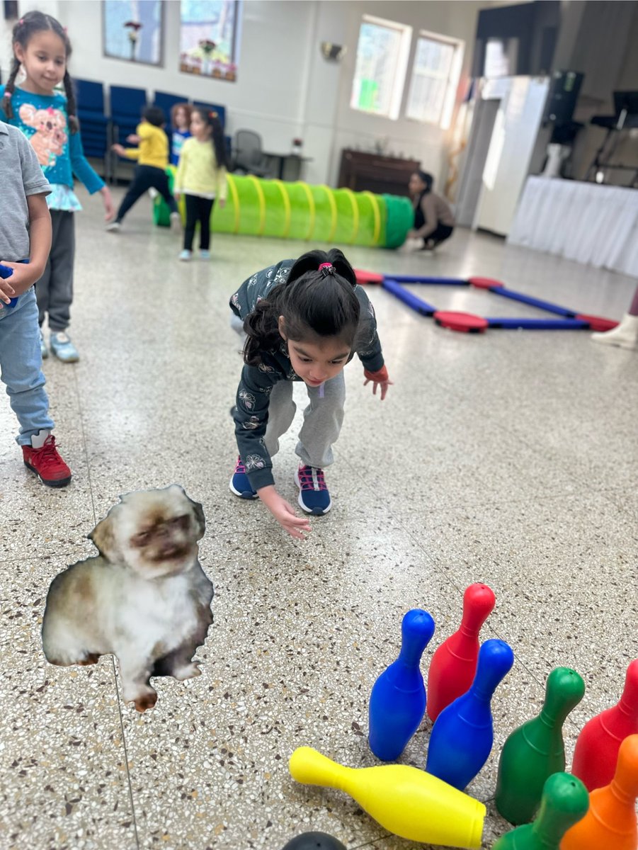 Bogotapreschool's tweet photo. Ginger is everywhere! This teacher discovered that when her student feels sad, seeing her puppy makes her happy #ourteachersrock #knowingyourstudents #SEL @BogotaPublic #BogartMemorial https://t.co/K3eJnrj7Tp